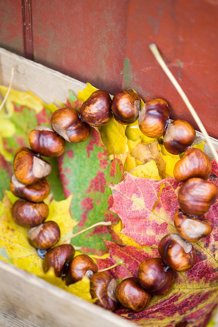 Herbstkranz aus Kastanien auf buntem Herbstlaub