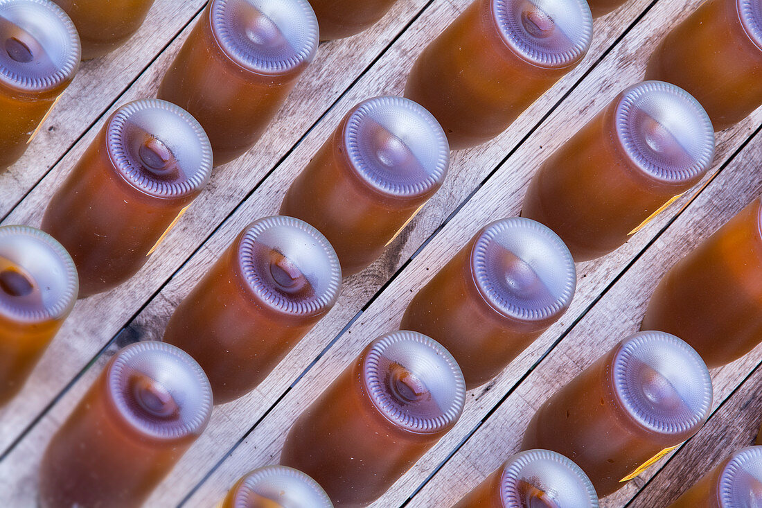 Wine bottles in a wooden rack