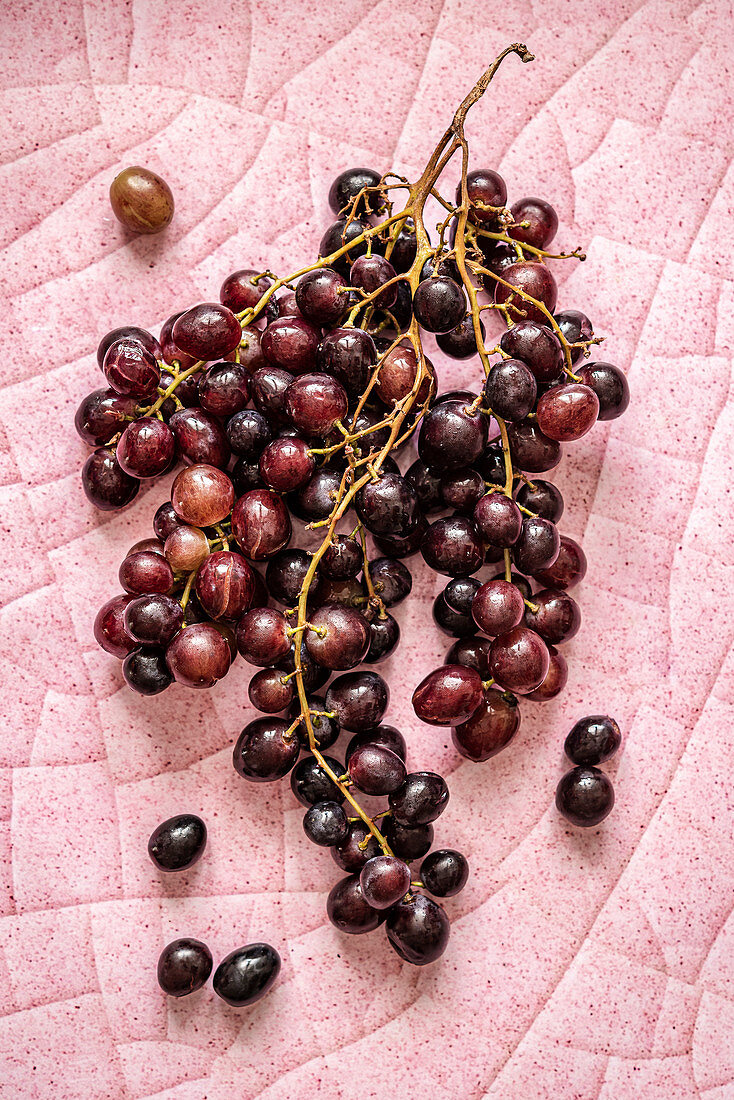 Bunch of dark grapes over pink background
