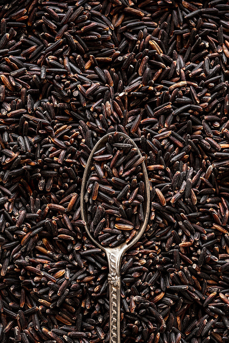 Closeup of raw black rice grains with spoon