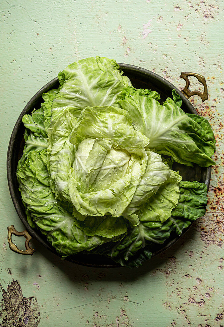 Fresh head of cabbage in an old tray