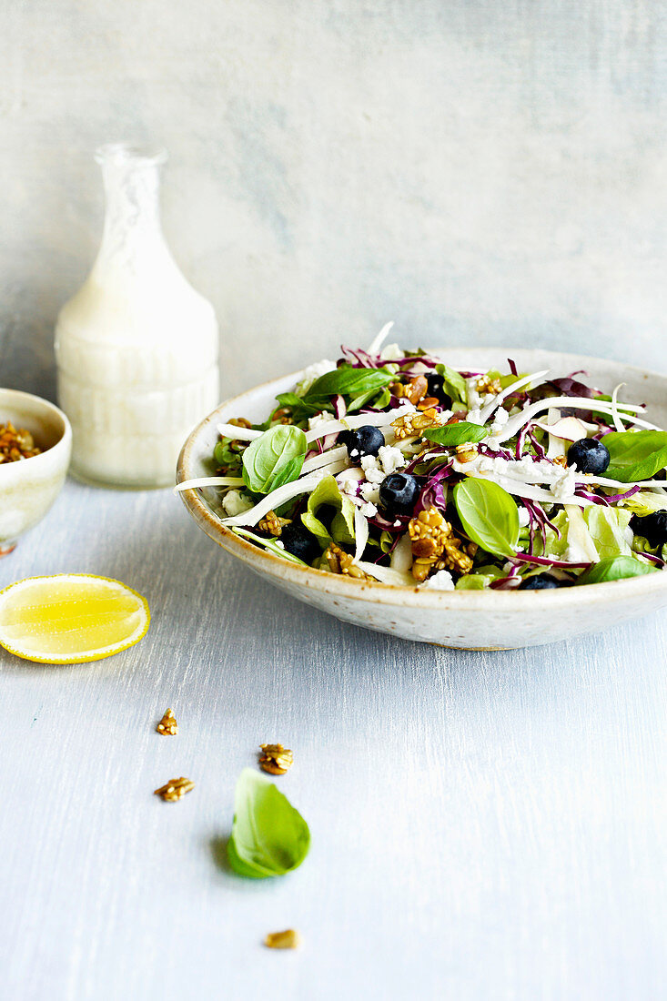 Blueberry Fennel Salad topped with Maple Toasted Seeds and Coconut Meyer Lemon Vinaigrette