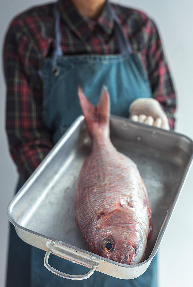 Person holds raw bream fish in metal baking dish