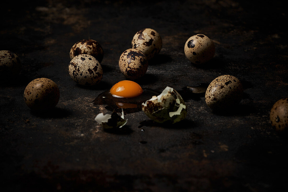 Quail eggs on dark background