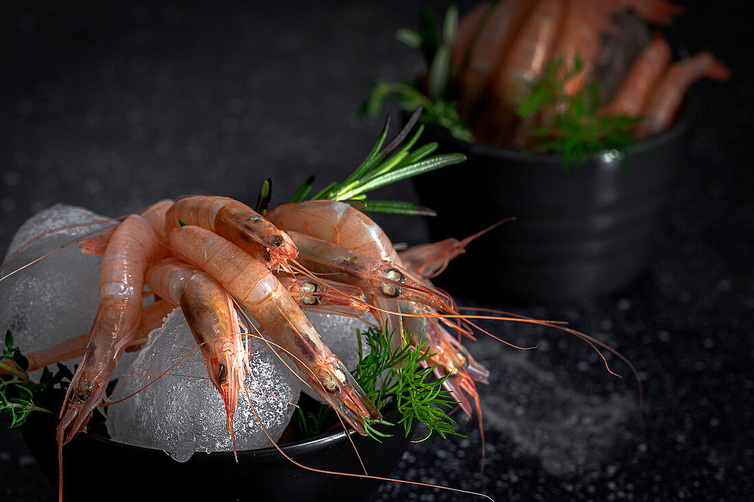 Raw prawns with ice cubes and green herbs