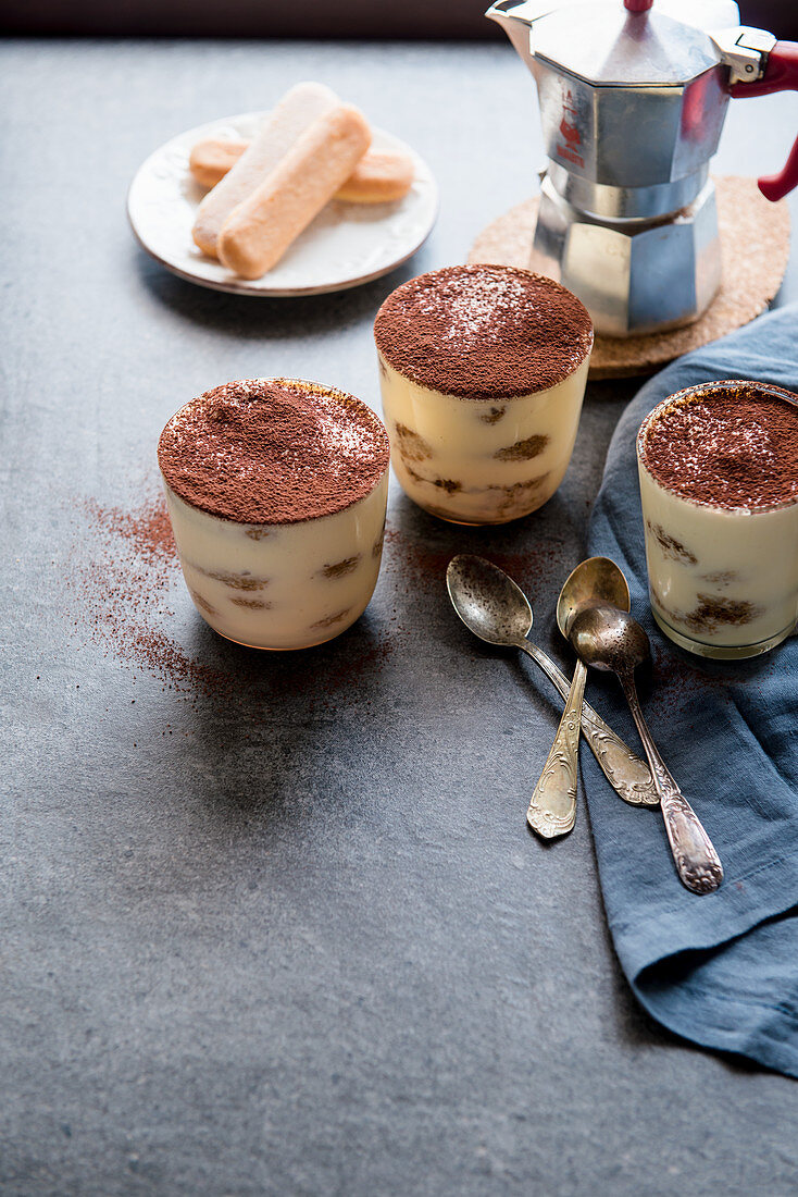 Traditional Italian dessert - tiramisu with coffee and sponge biscuits dusted with cocoa