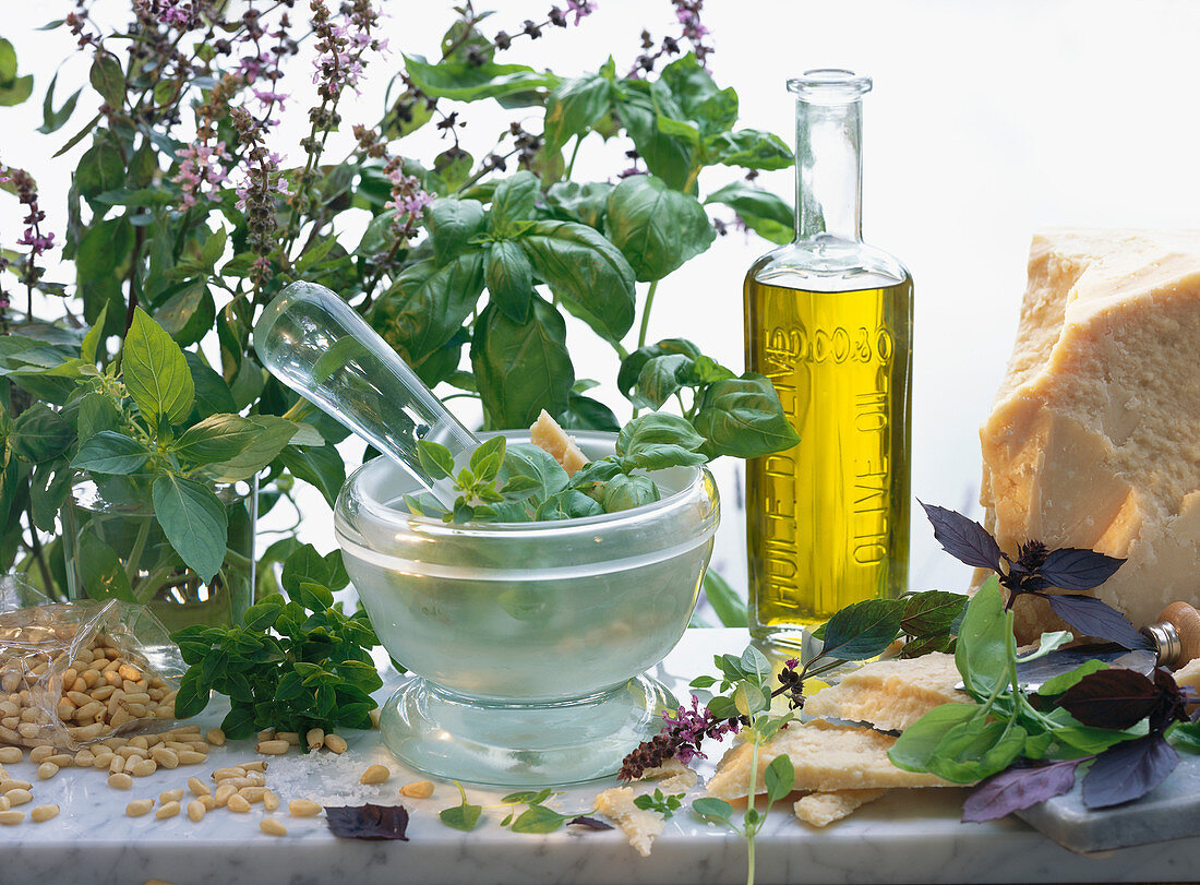 Preparation of pesto: Parmesan cheese, olive oil, basil, pine nuts