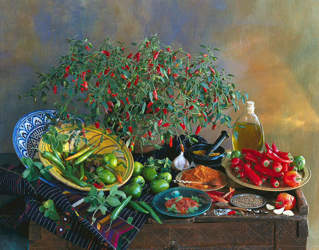 Still life with a chilli plant, various chilli peppers, chilli powder, harissa