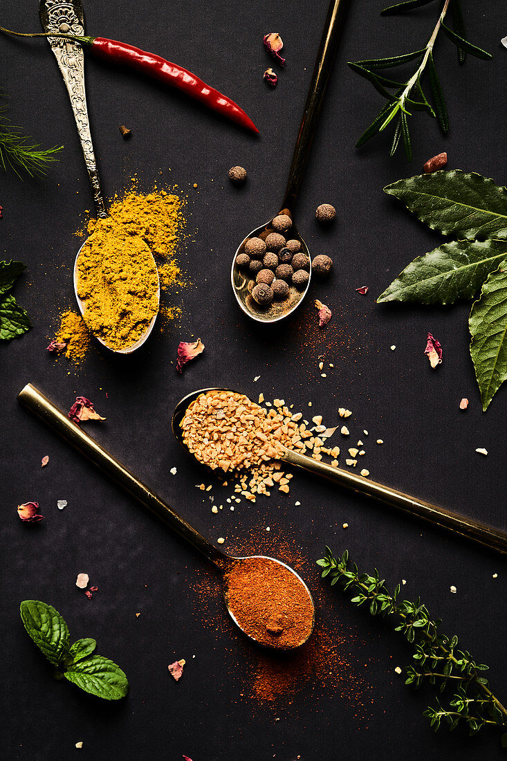 Assorted spices in spoons and fresh herbs