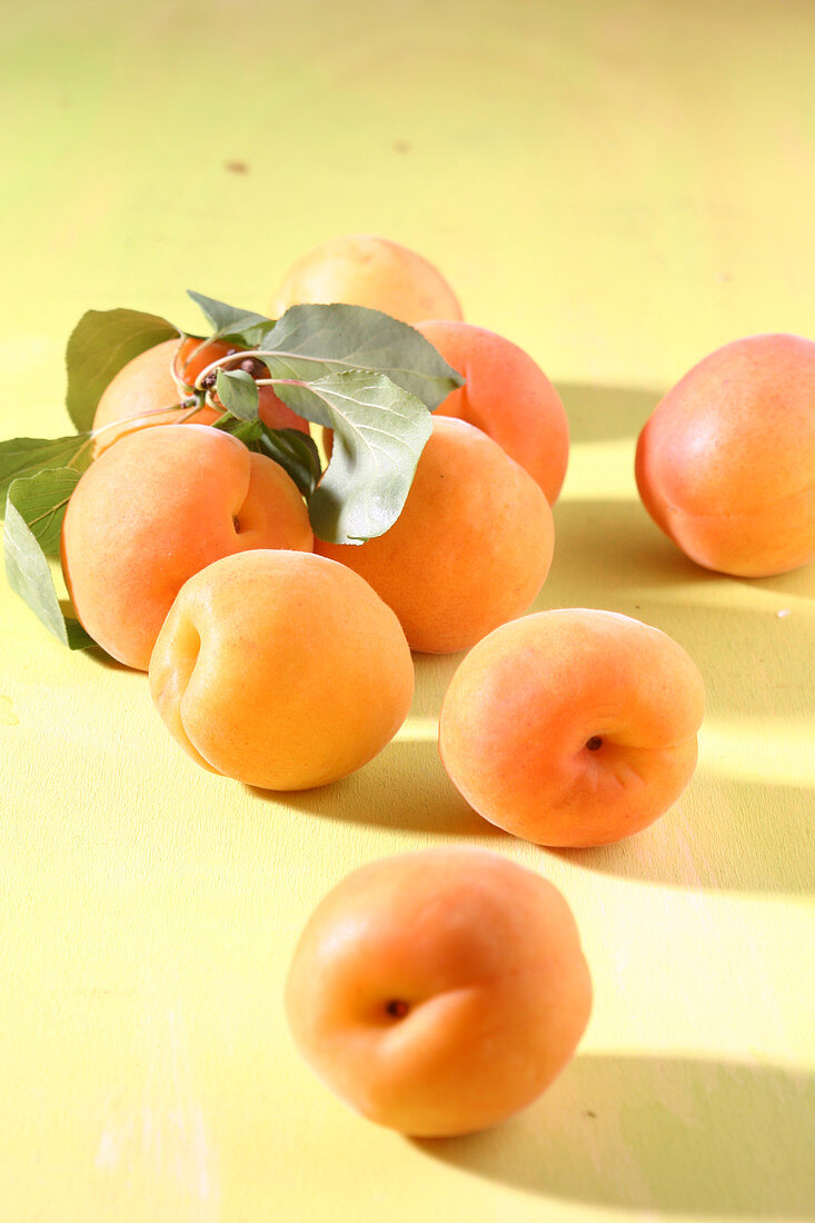 Apricots