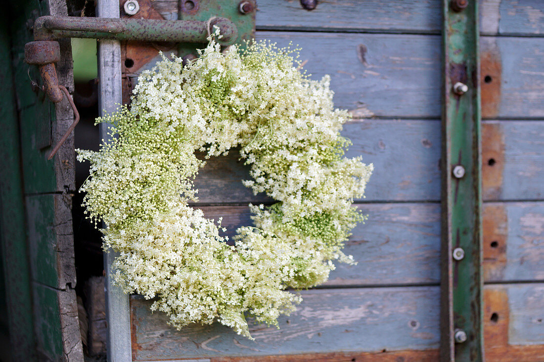 White wreath of elderflowers