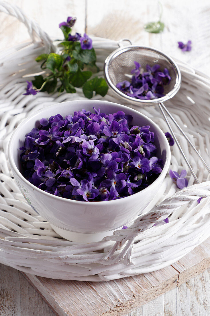 Violette Veilchenblüten in Schälchen und Sieb
