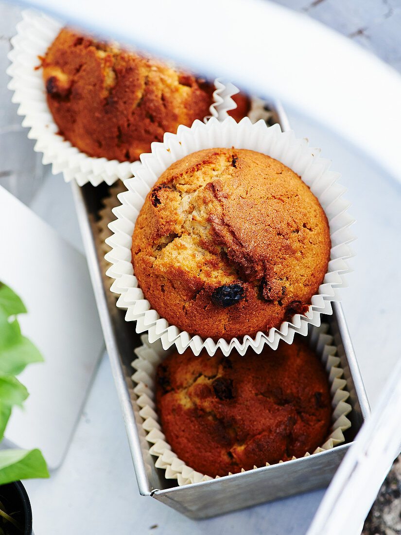 Apfel-Rosinen-Muffins