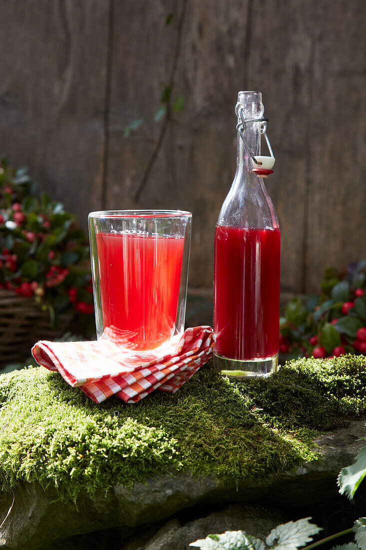 Preiselbeersaft (gegen Blasenentzündung)