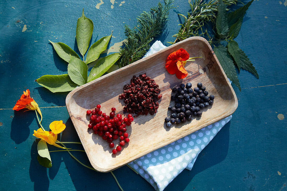 Beeren und Kräuter für eine gesunde Blase