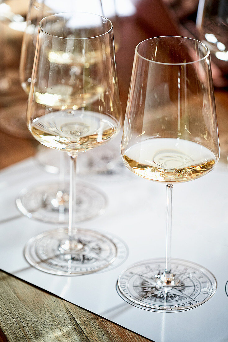 White wine glasses, lined up for wine tasting
