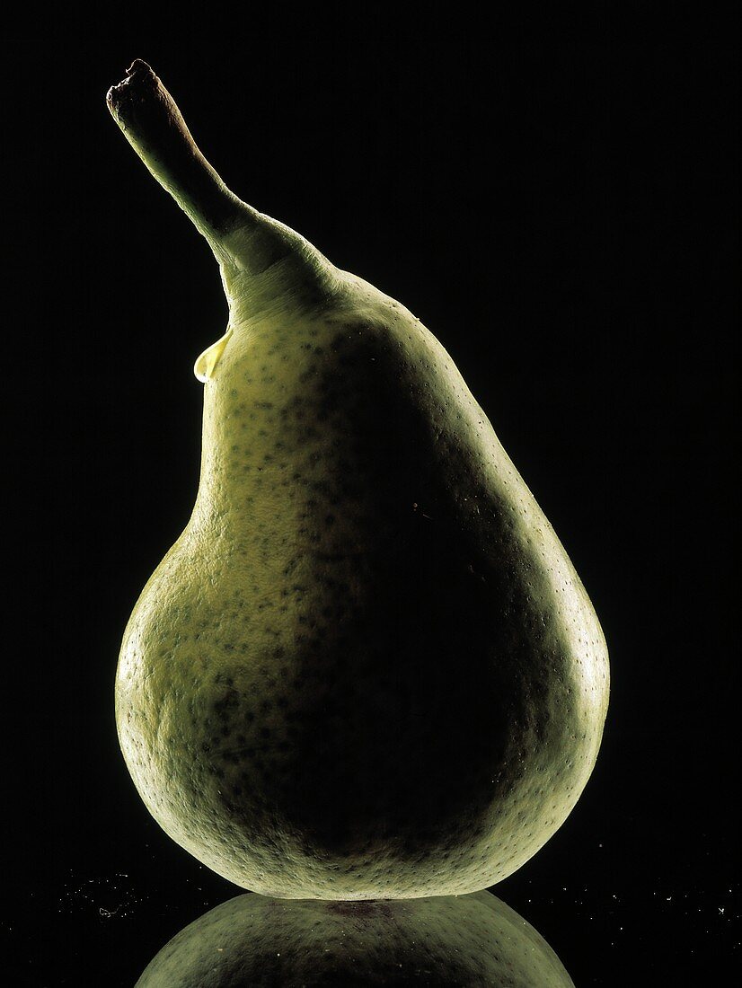 A Bartlett Pear with One Water Drop