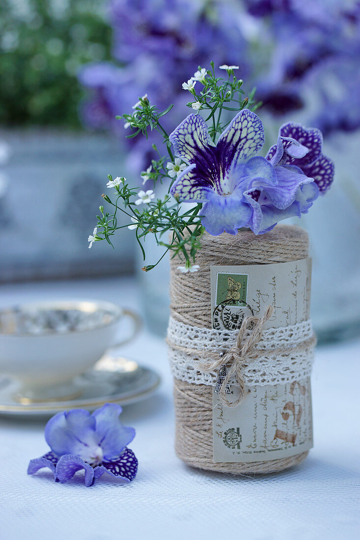 Purple Cape primrose flowers and dwarf gypsophila in reel of thread