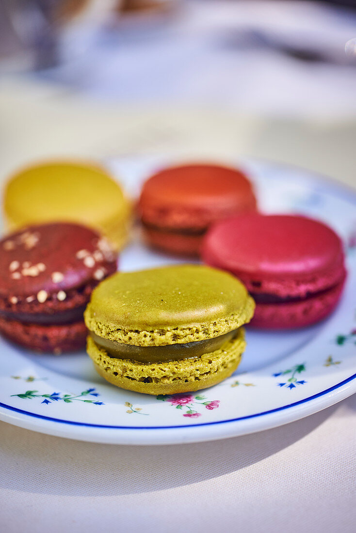 Colorful french macarons on a tray
