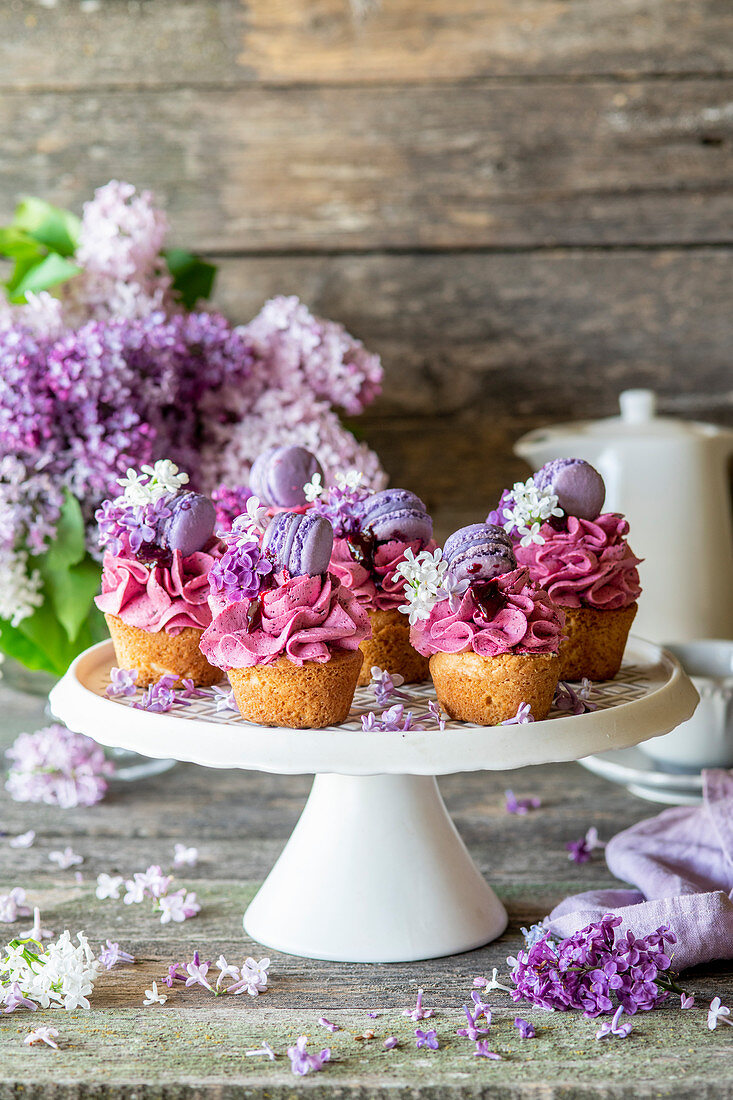 Blaubeer-Cupcakes verziert mit Mini-Macarons