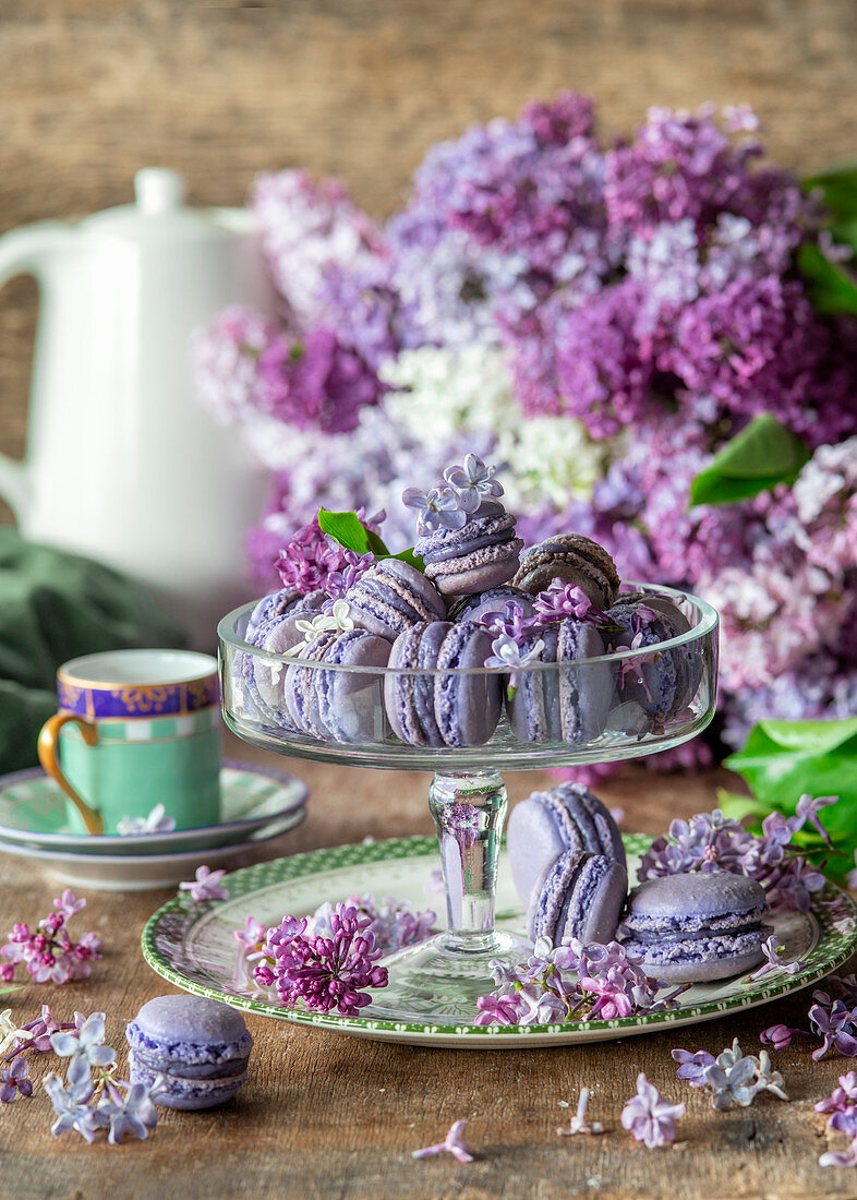 Lilac and macarons