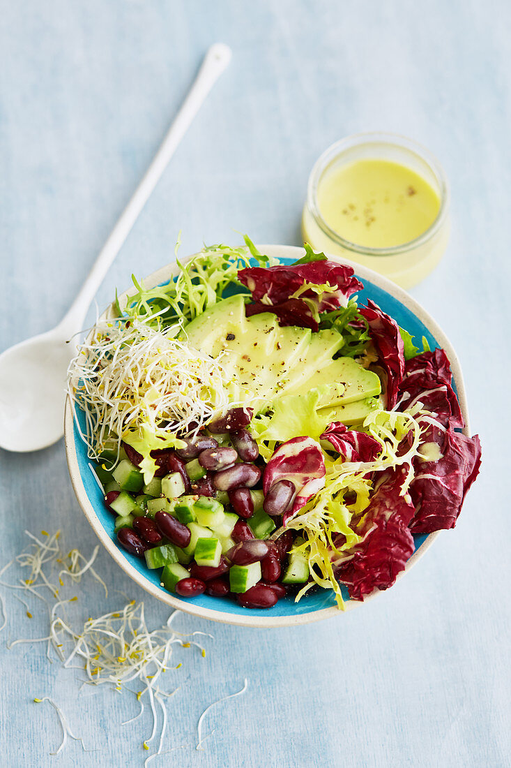 Kidneybohnen-Frisee-Salat mit Avocado, Radicchio und Sprossen