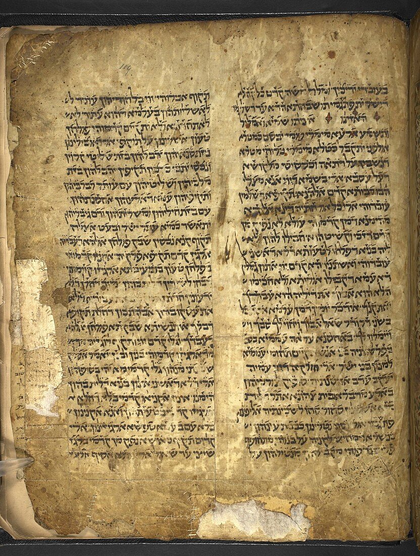 Ancient Torah page