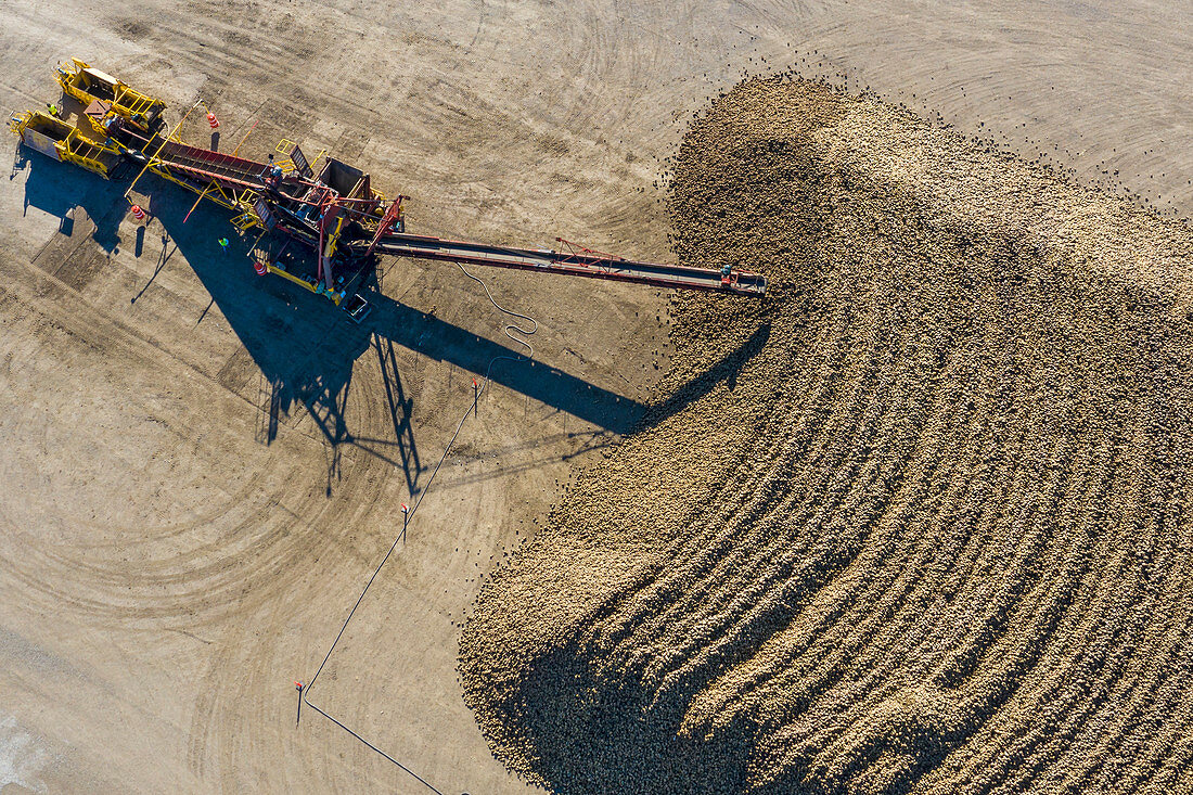 Sugar beet farming, aerial photograph