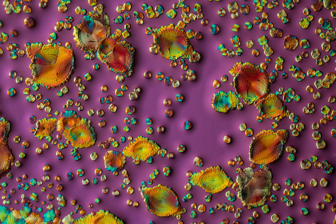 Ammonium cerium nitrate, polarised light micrograph