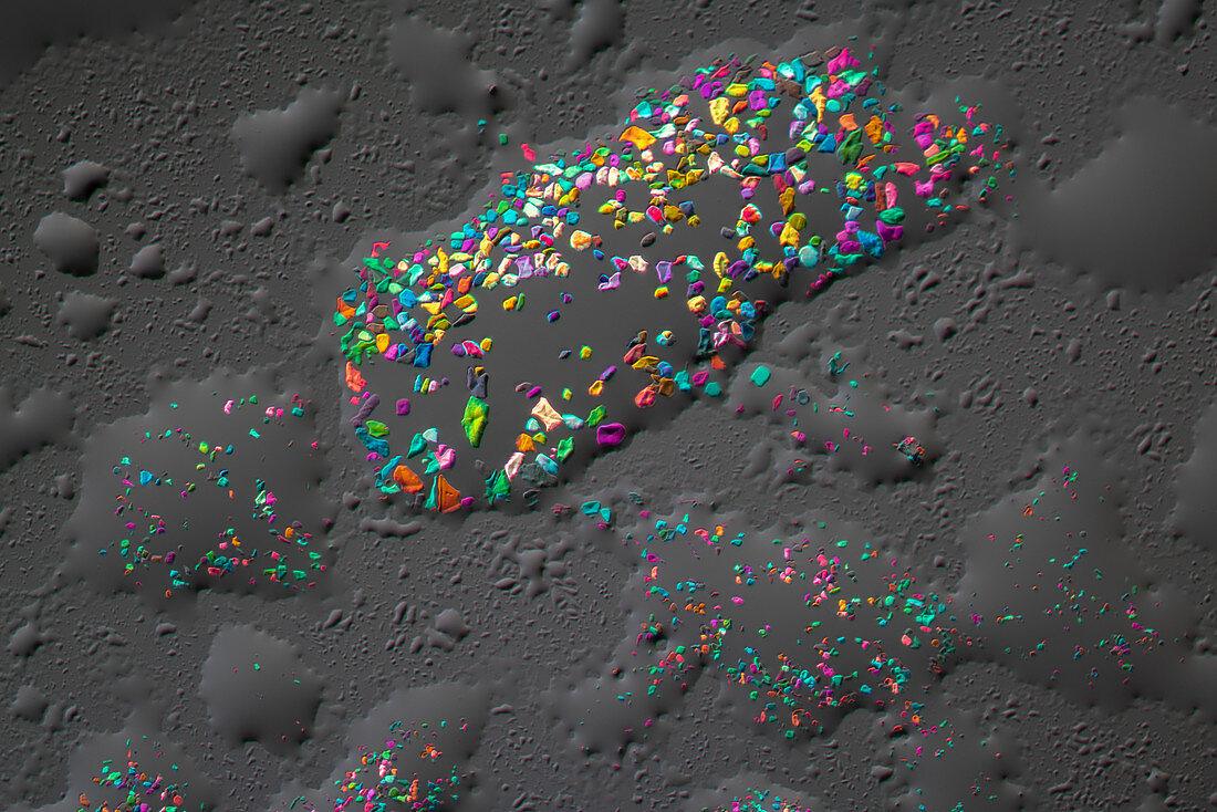 Manganese sulphate, polarised light micrograph