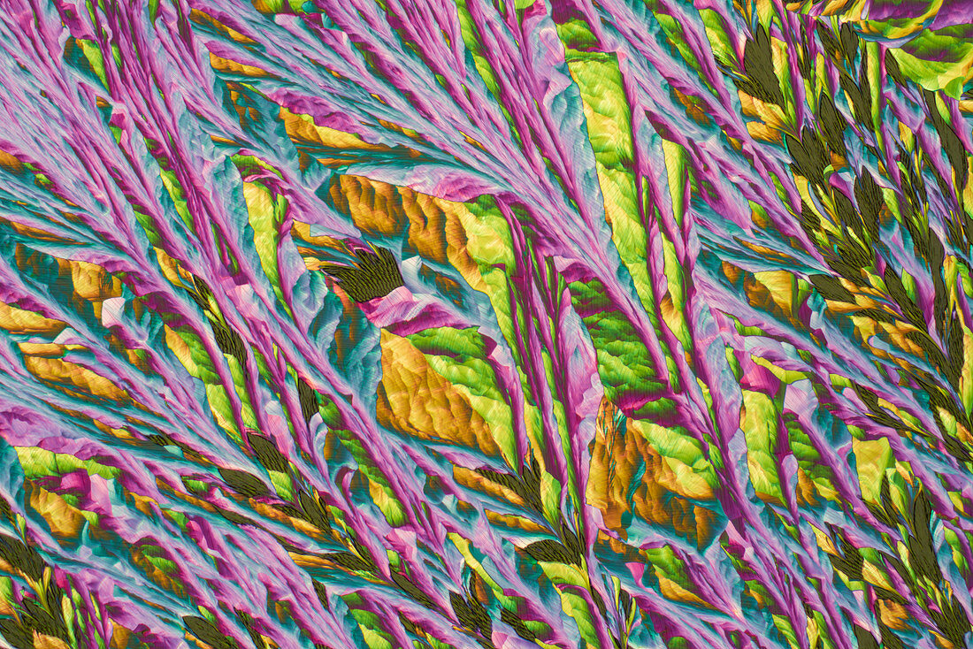 Sodium sulphate, polarised light micrograph