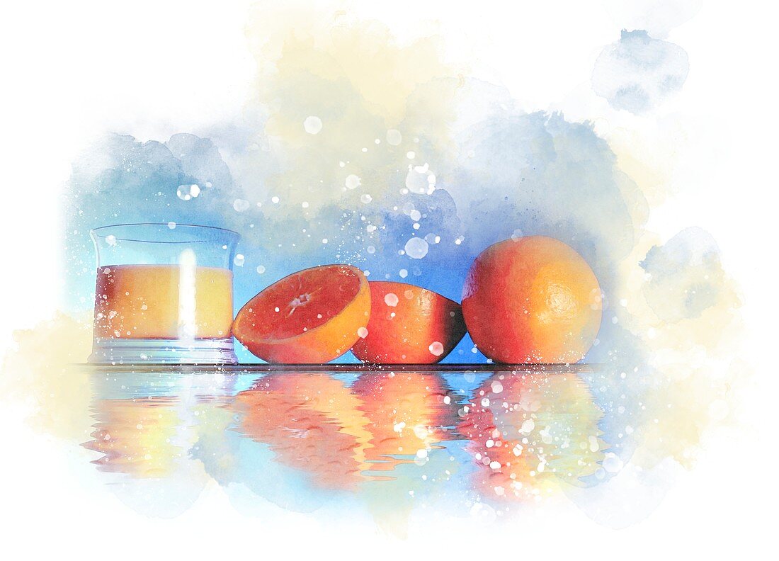 Oranges and orange juice, illustration
