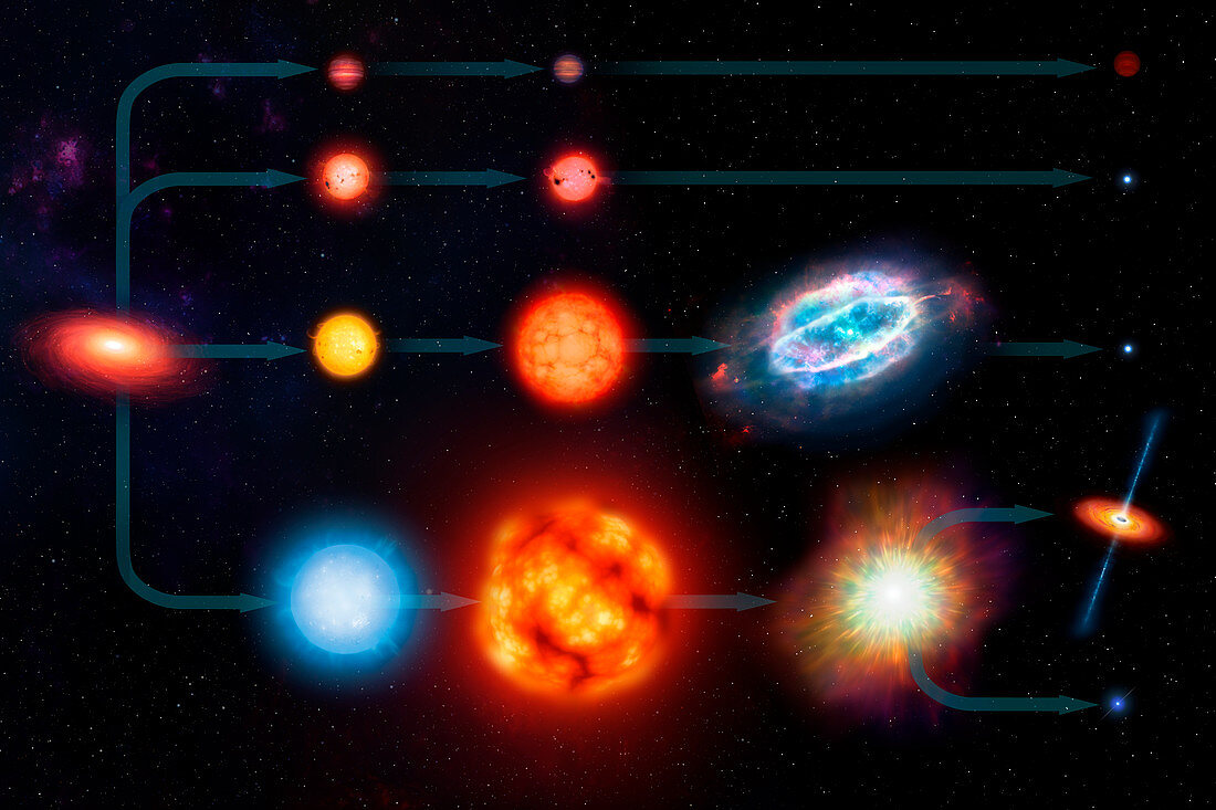 Star life cycles, illustration
