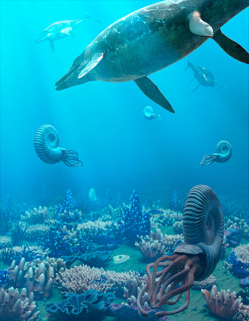Triassic sea, illustration
