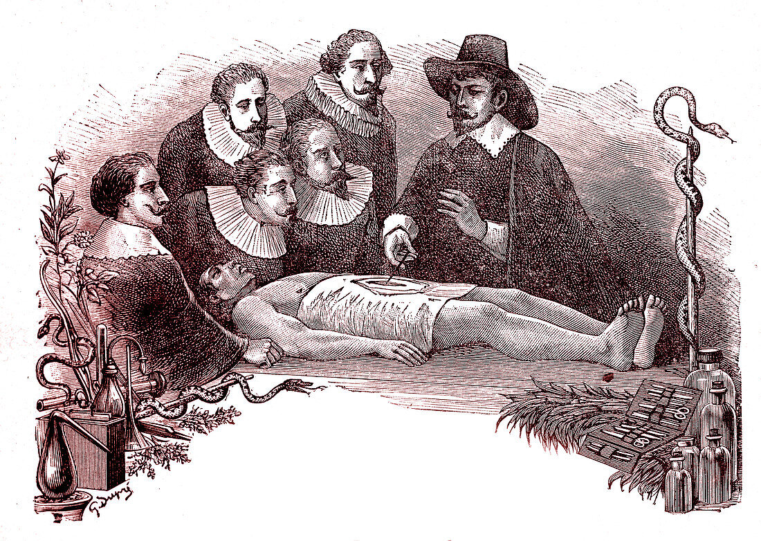 19th Century anatomy lesson, illustration
