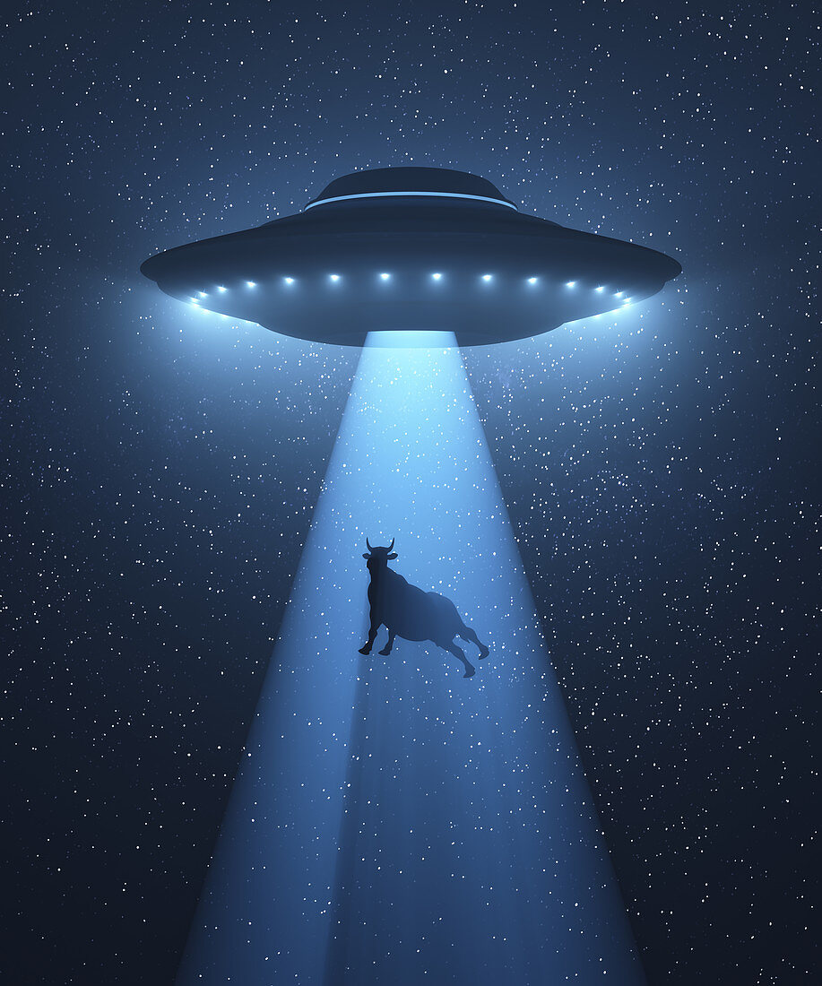 UFO beaming up cow, illustration