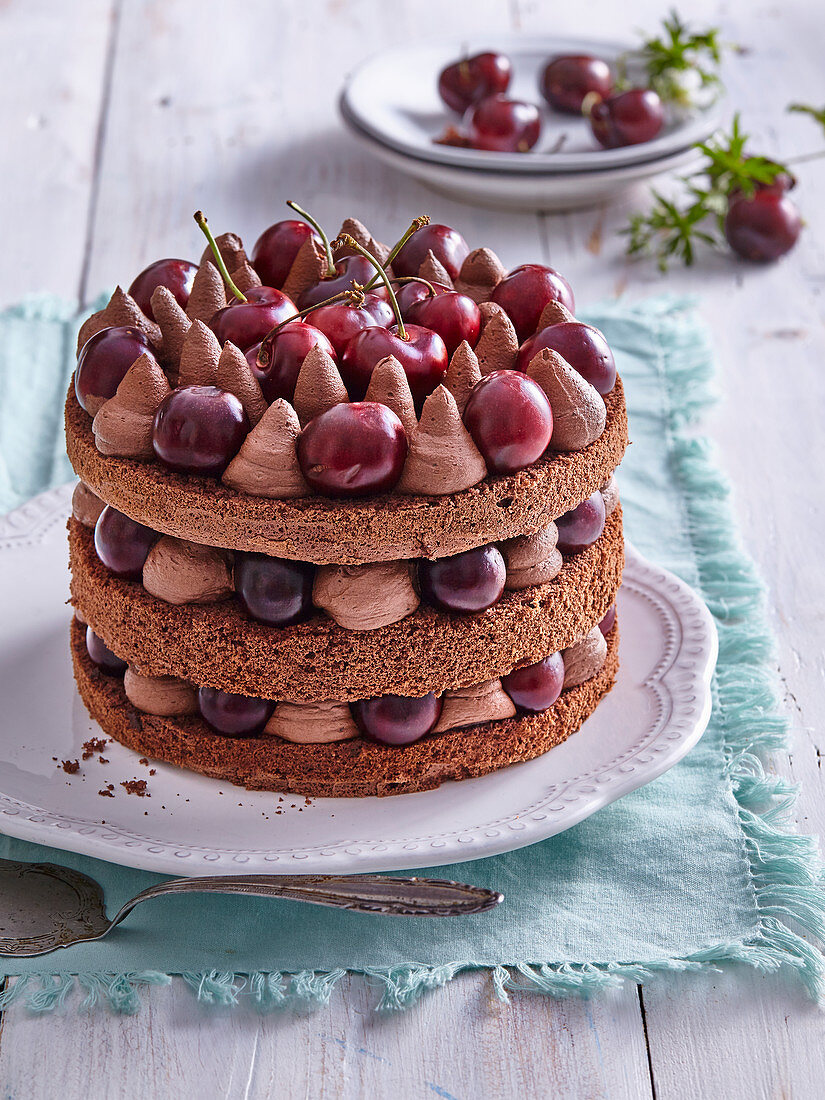 Cherry chocolate cake