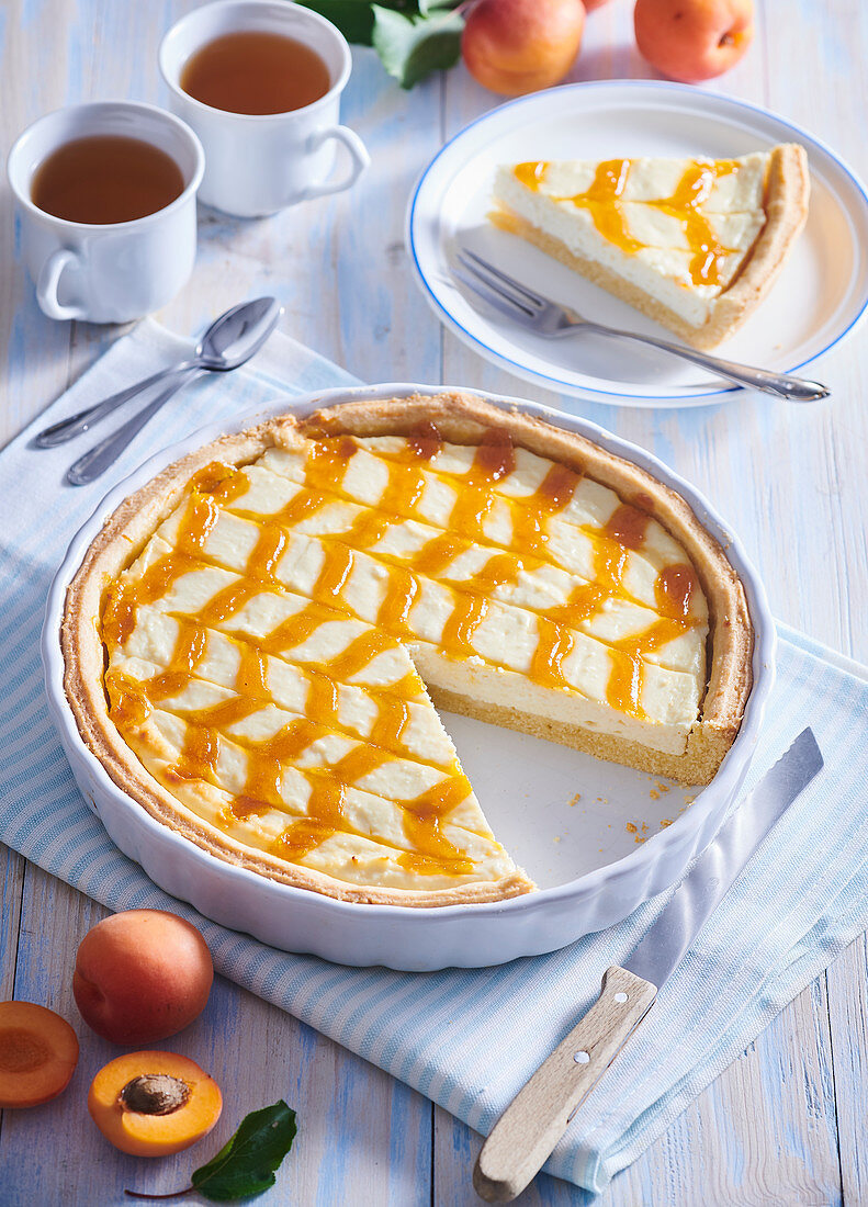 Cheesecake with apricot grid