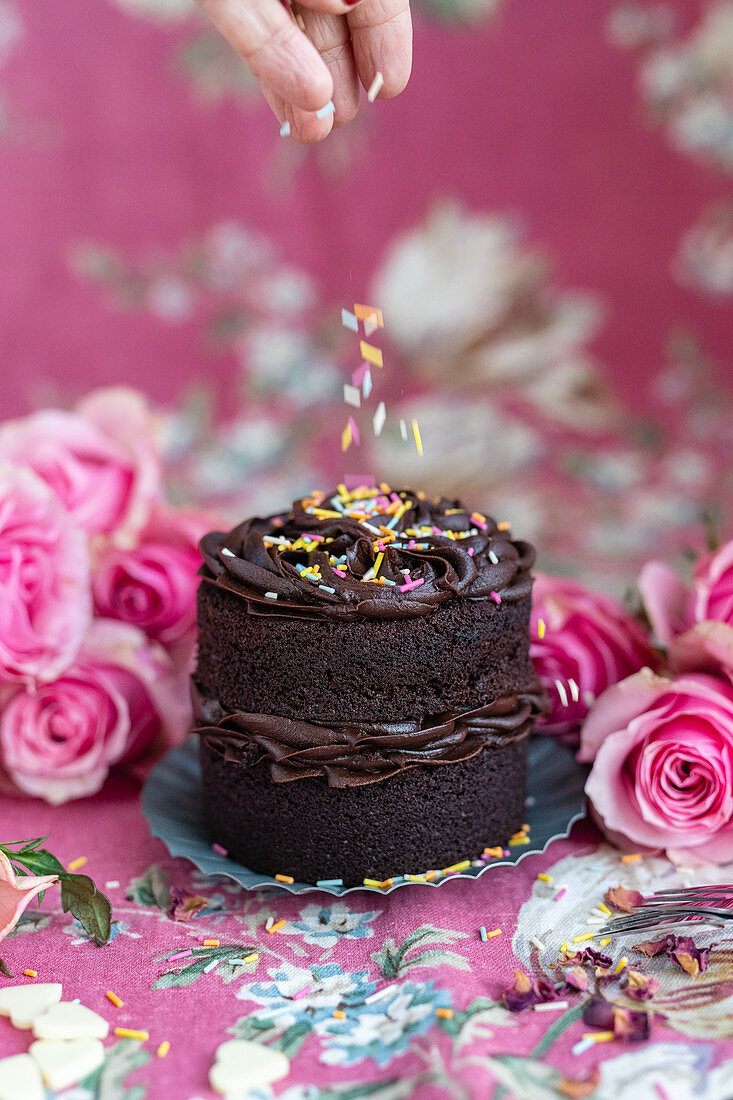 Mini chocolate cake is sprinkled with colorful sugar sprinkles
