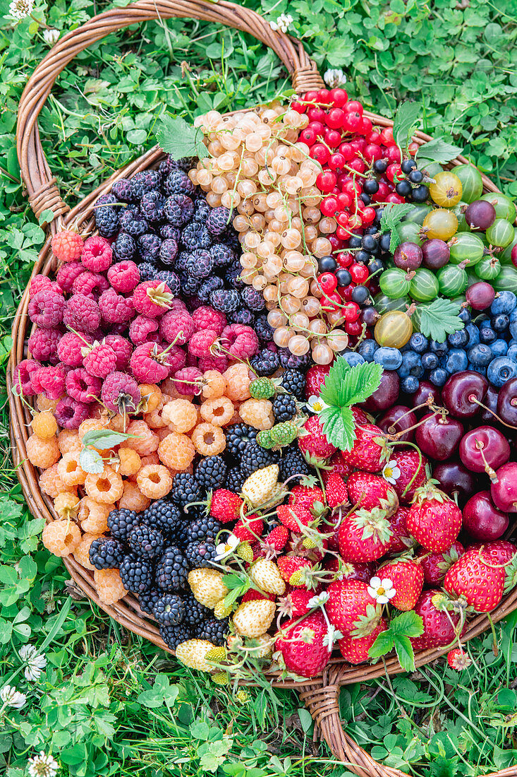 Frische Sommerbeeren