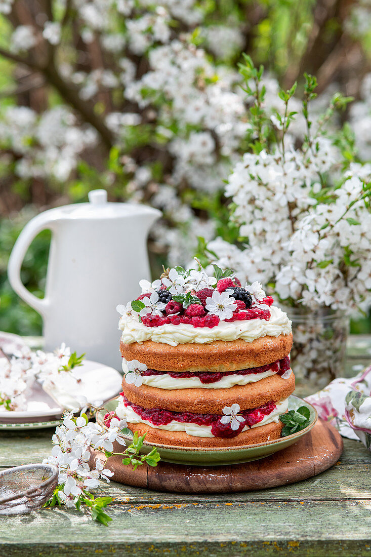 Spring cake with raspberries and cream cheese