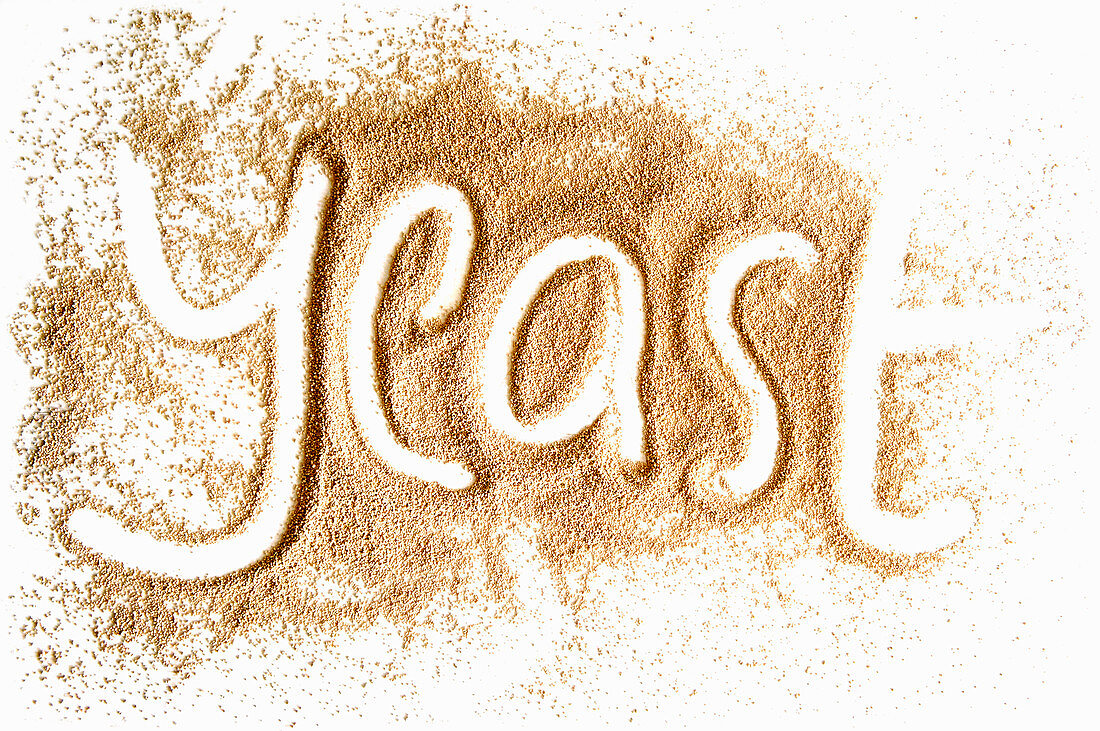 The word 'Yeast' written in dried yeast