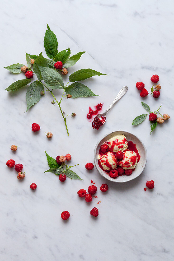 Vanilla ice cream with raspberry sauce and jam