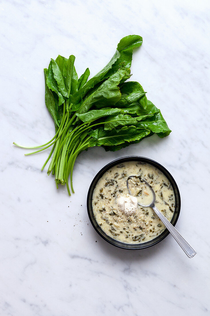 Sauerampfersuppe