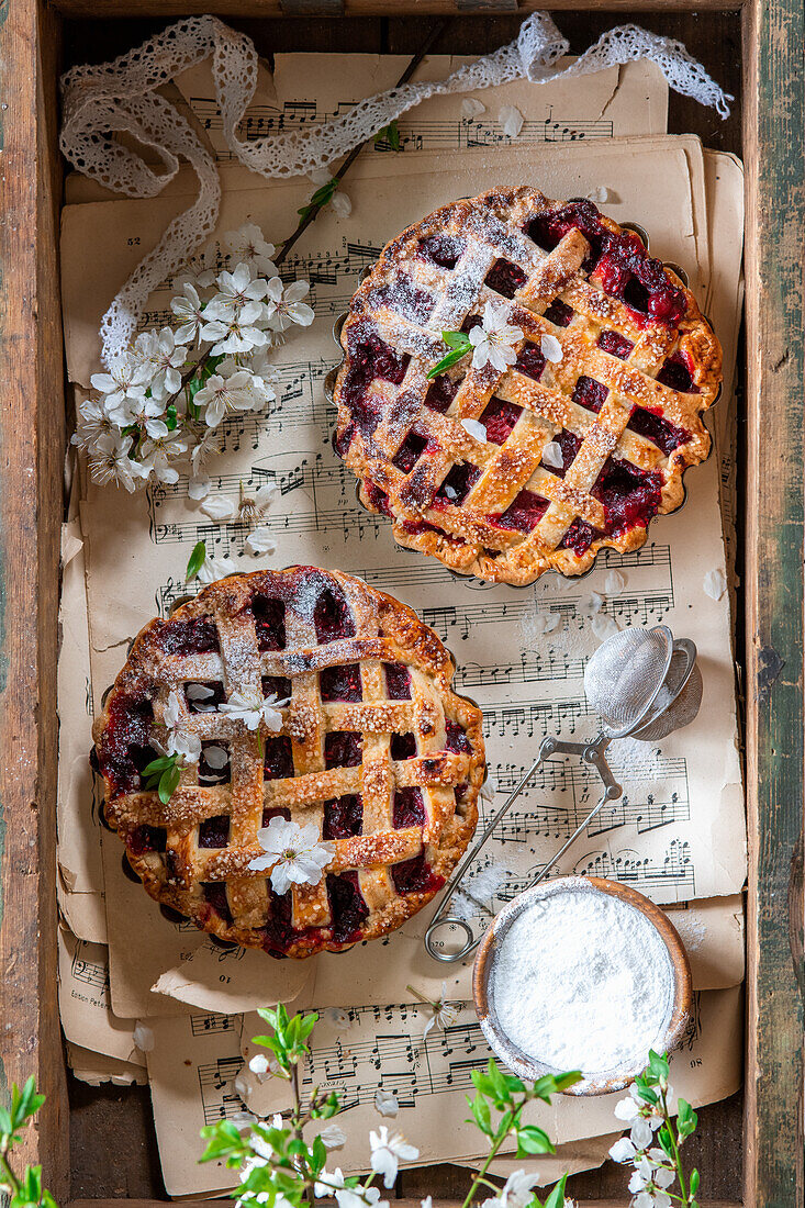 Pies with berry filling