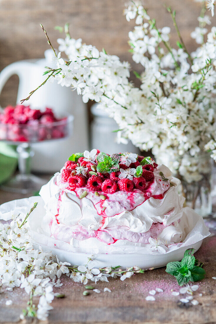 Frühlings-Himbeer-Pavlova