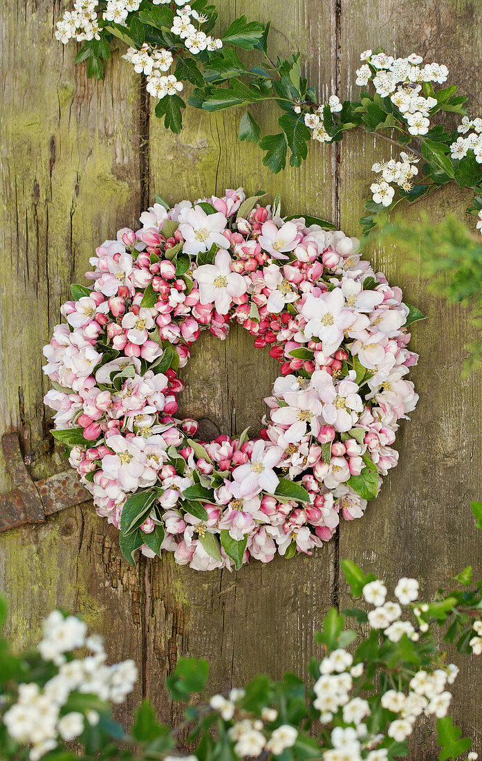 Wreath of apple blossom branches