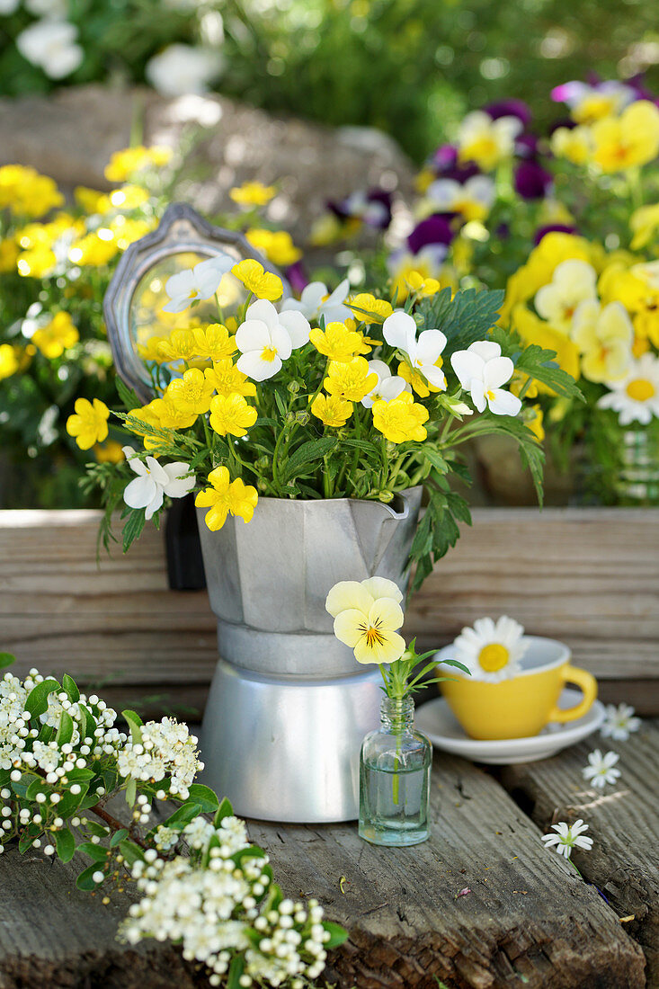 A bouquet of buttercups and horned violets in an espresso pot