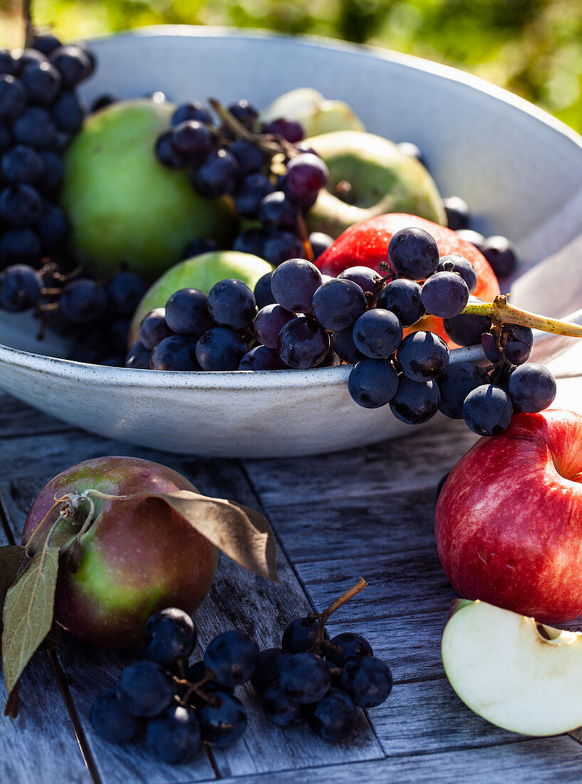 Blaue Concord-Trauben und verschiedene Äpfel in Schüssel auf Holztisch im Freien