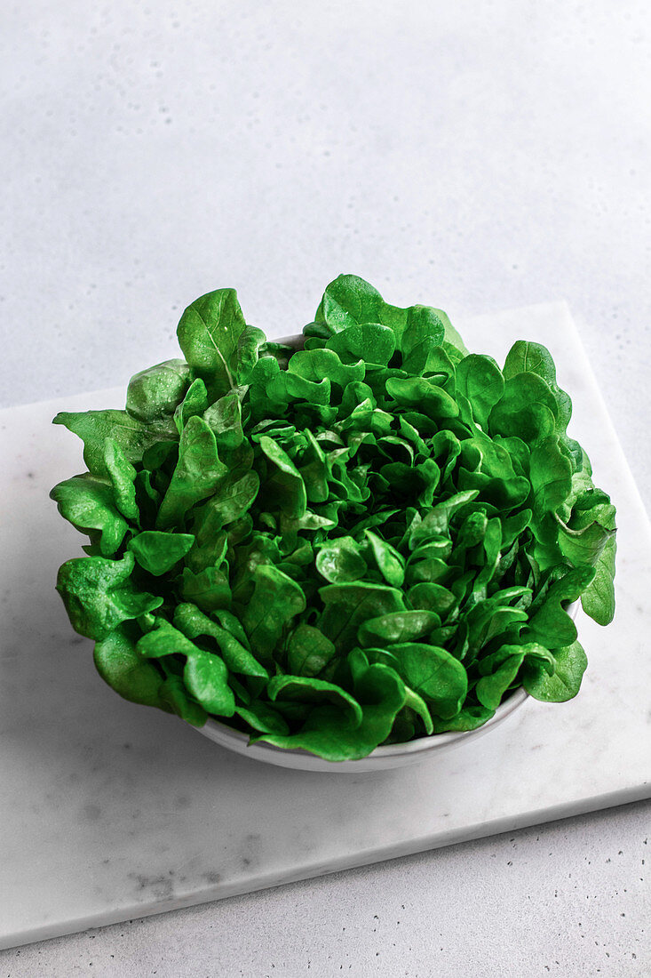 Lettuce in a bowl